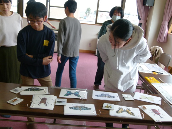 どの昆虫を作るのか選んでいる写真