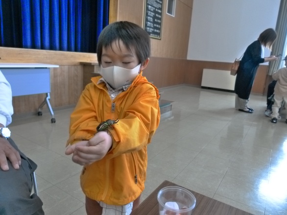 ニジイロクワガタを腕に乗せている子供の写真